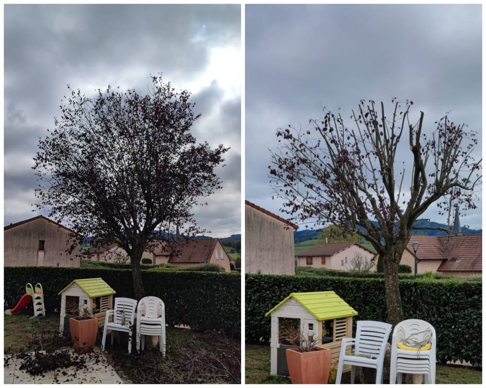 realisations poupier paysage (11)
