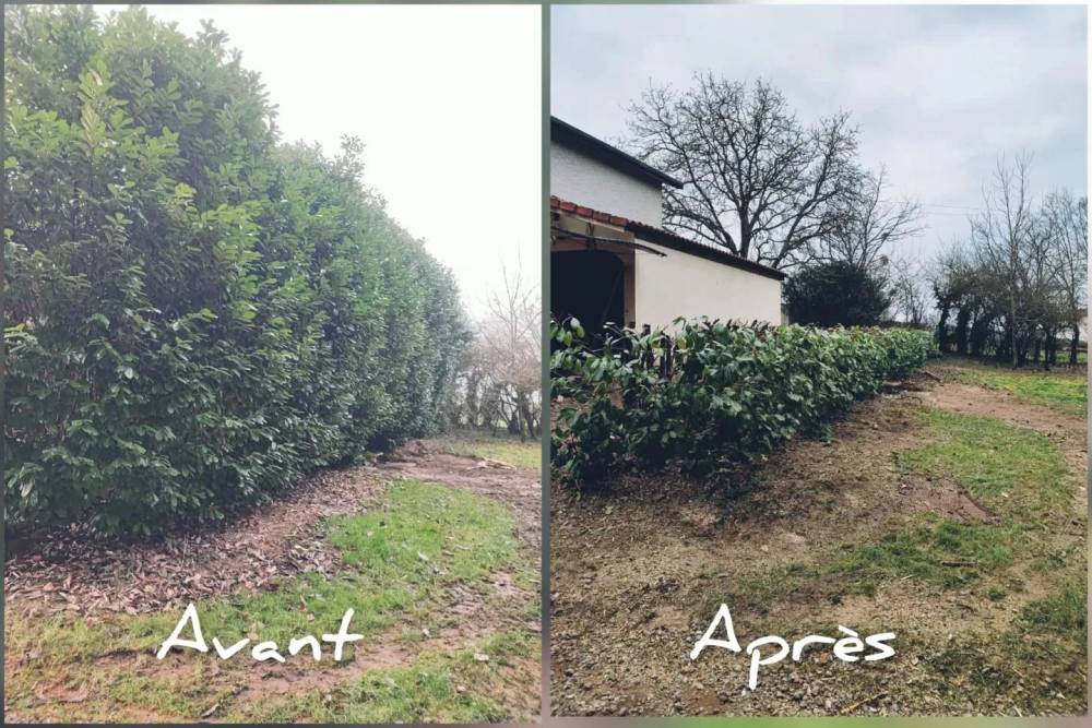 realisations poupier paysage (14)