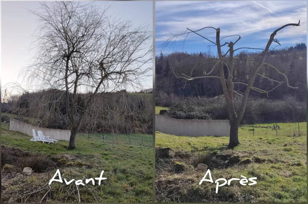 realisations poupier paysage (15)
