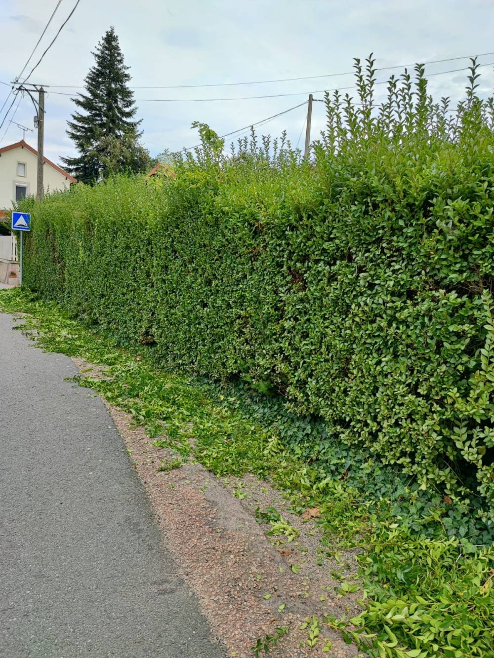 realisations poupier paysage (20)