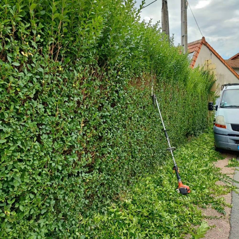 realisations poupier paysage (21)