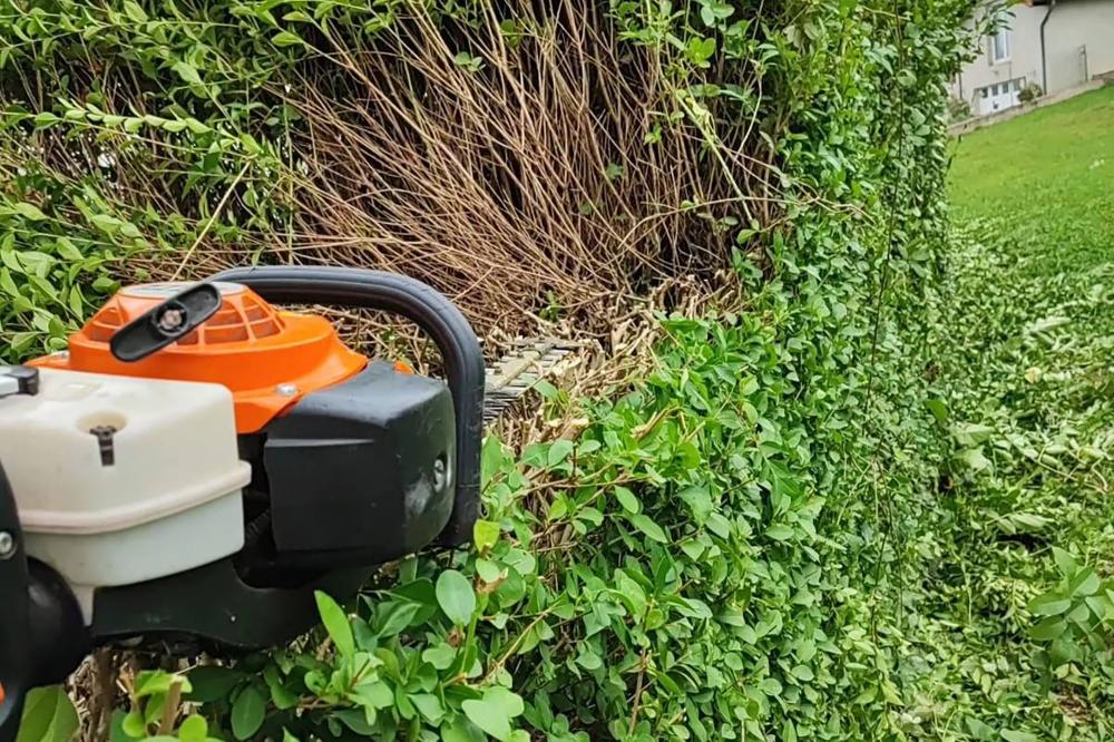 entretien du jardin